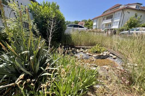 Gartenteich Gartenteich - Einfamilienhaus in 96482 Ahorn mit 131m² kaufen