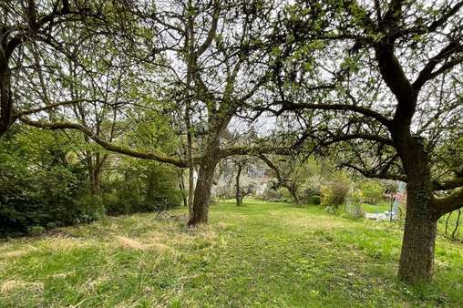 Garten Garten - Zweifamilienhaus in 96450 Coburg mit 144m² kaufen