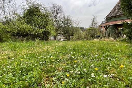 Garten Garten - Zweifamilienhaus in 96450 Coburg mit 144m² kaufen