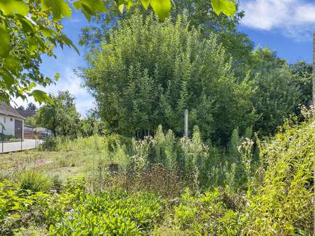 Garten - Einfamilienhaus in 97355 Kleinlangheim mit 145m² kaufen