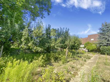 Garten mit Blick zum Haus - Einfamilienhaus in 97355 Kleinlangheim mit 145m² kaufen