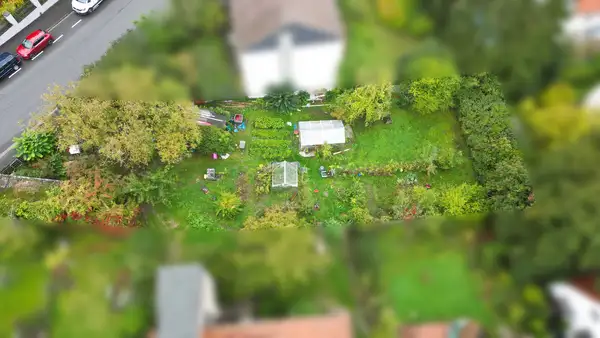 Einfamilienhaus oder Doppelhaus?