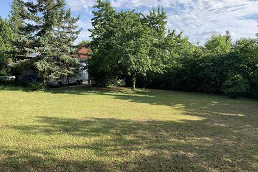 Traumgarten oder Bauplatz? - Einfamilienhaus in 97502 Euerbach mit 211m² kaufen