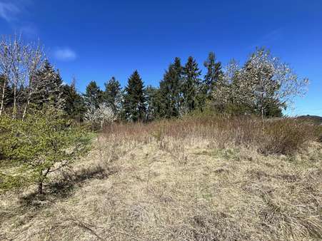 Bild vom Grundstück - Grundstück in 97478 Knetzgau mit 718m² kaufen