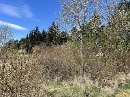 Bild vom Grundstück - Grundstück in 97478 Knetzgau mit 718m² kaufen