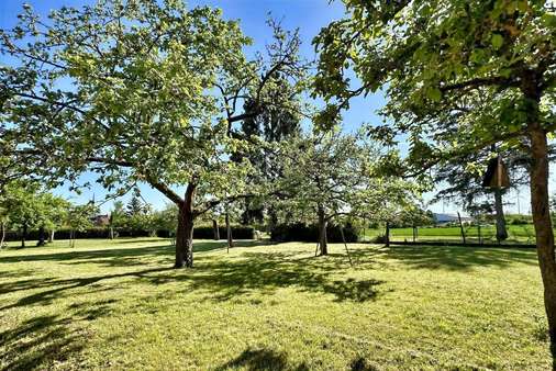 grüne Oase grüne Oase - Bauernhaus in 97534 Waigolshausen mit 150m² kaufen