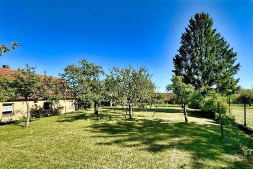 Hier können Sie sich entfalten! Hier können Sie sich entfalten! - Bauernhaus in 97534 Waigolshausen mit 150m² kaufen