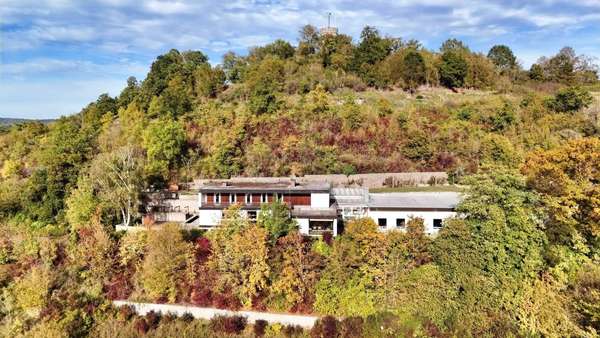 Ehemalige Unternehmervilla im sonnenverwöhnten, naturnahen Grün - Mehrfamilienhaus in 97483 Eltmann mit 850m² kaufen