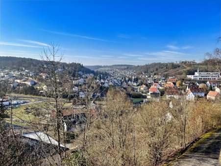 Viel Licht, Luft und Sonne... der unverbaute Weitblick - Mehrfamilienhaus in 97483 Eltmann mit 850m² kaufen