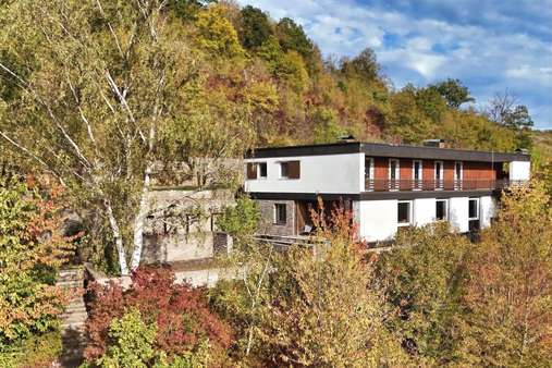 Wohnen mit der Natur als Nachbarn - Mehrfamilienhaus in 97483 Eltmann mit 850m² kaufen