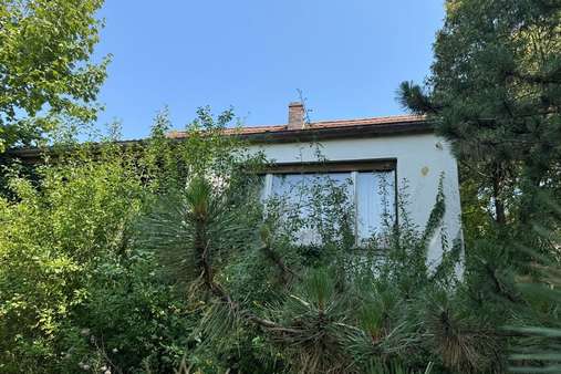 Ansicht Süd - Einfamilienhaus in 97453 Schonungen mit 90m² kaufen