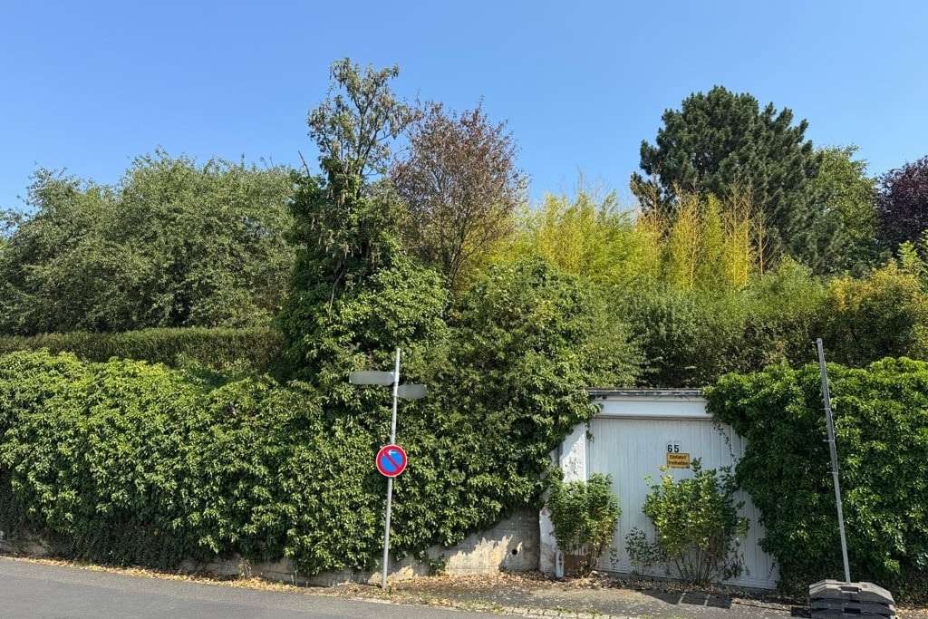 Ansicht Süd mit Garage - Einfamilienhaus in 97453 Schonungen mit 90m² kaufen