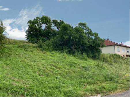 West Ansicht - Grundstück in 97500 Ebelsbach mit 1149m² kaufen