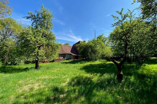 Garten mit Blick auf die Scheune - Bauernhaus in 97532 Üchtelhausen mit 225m² kaufen