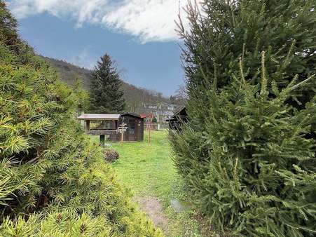 Blick in den Garten - Zweifamilienhaus in 63928 Eichenbühl mit 223m² kaufen