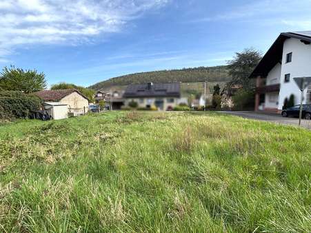 Ansicht Grundstück - Grundstück in 63939 Wörth mit 612m² kaufen