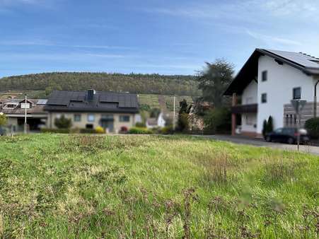 Ansicht Grundstück - Grundstück in 63939 Wörth mit 612m² kaufen