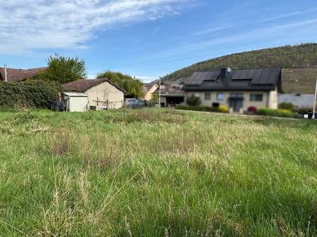 Ansicht Grundstück - Grundstück in 63939 Wörth mit 612m² kaufen
