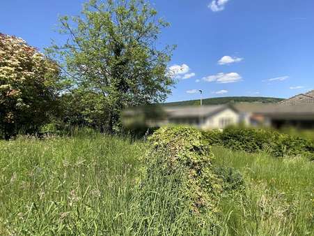 Außenansicht - Grundstück in 63911 Klingenberg mit 508m² kaufen