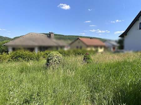 Außenansicht - Grundstück in 63911 Klingenberg mit 508m² kaufen