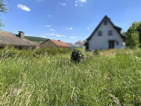 Außenansicht - Grundstück in 63911 Klingenberg mit 508m² kaufen