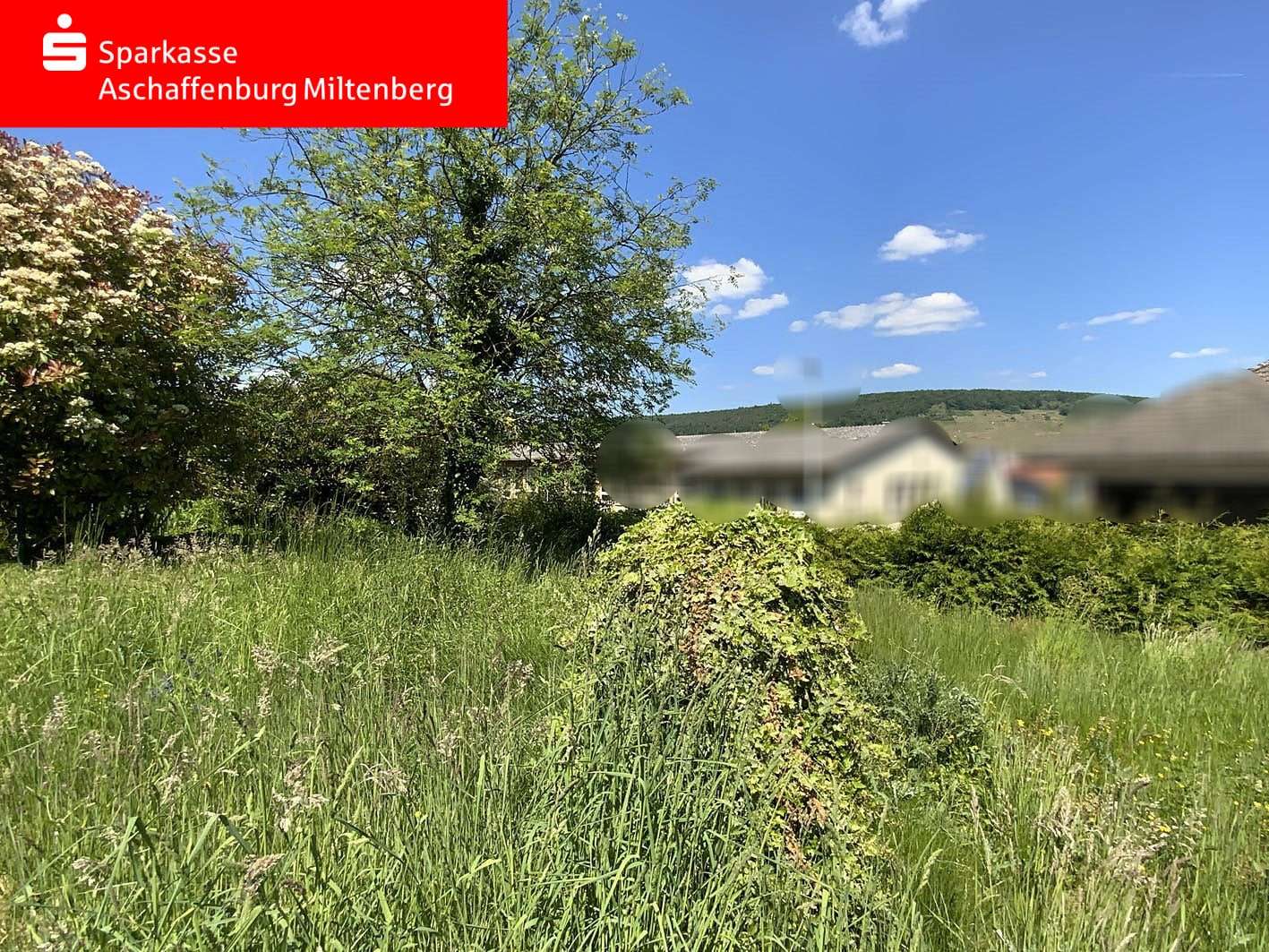 Außenansicht - Grundstück in 63911 Klingenberg mit 508m² kaufen