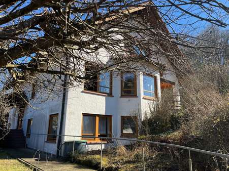 Gartenansicht Einfamilienhaus - Mehrfamilienhaus in 63875 Mespelbrunn mit 439m² kaufen