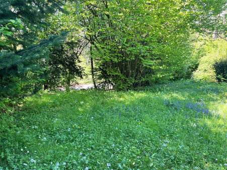 Garten Garten - Ferienhaus in 63874 Dammbach mit 65m² kaufen