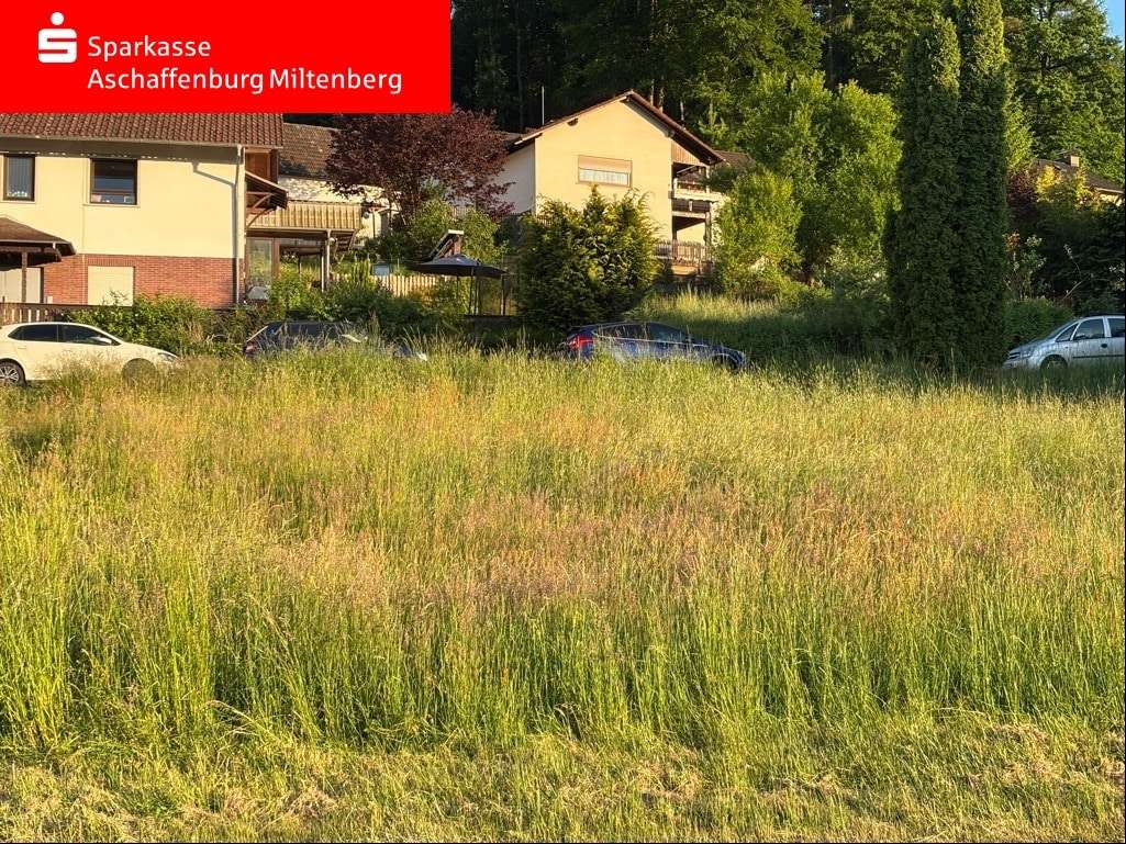 Blick auf das Grundstück Blick auf das Grundstück - Grundstück in 63825 Blankenbach mit 740m² kaufen