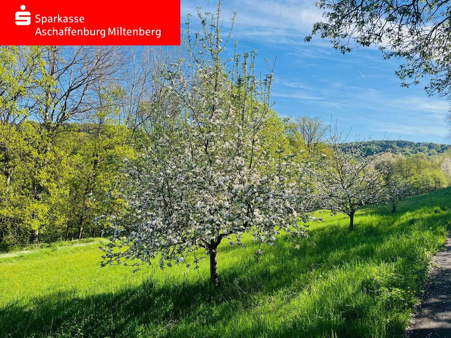 Symbolfoto - Grundstück in 63846 Laufach mit 1171m² kaufen