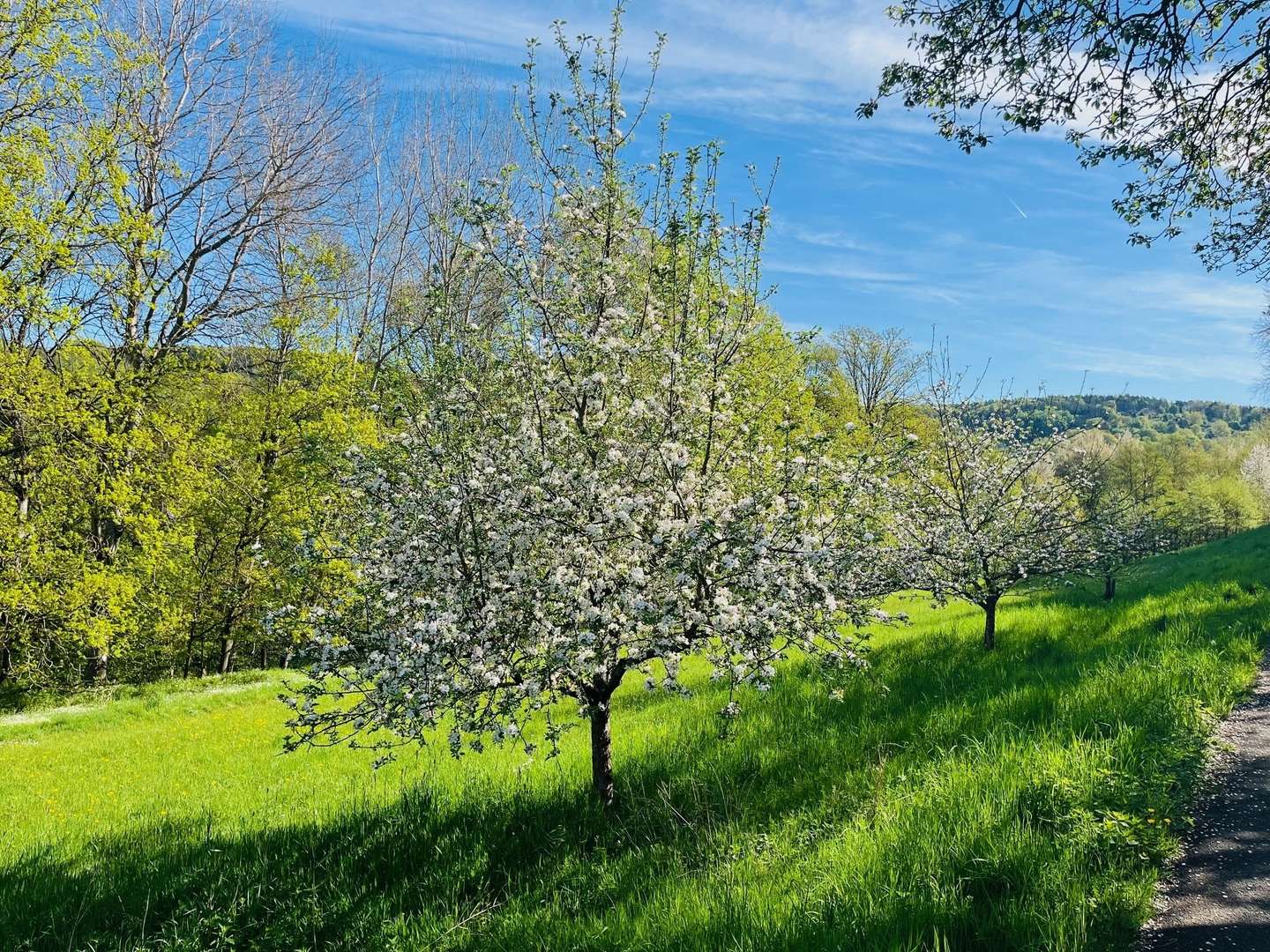 Symbolfoto - Grundstück in 63846 Laufach mit 1171m² kaufen