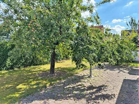 Garten Garten - Einfamilienhaus in 63743 Aschaffenburg mit 180m² kaufen