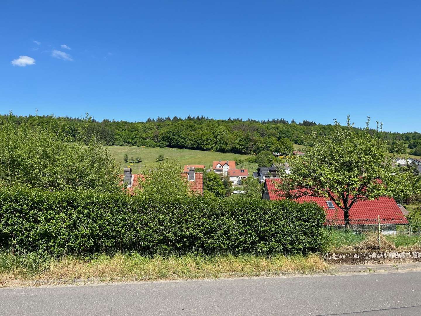 Ausblick - Grundstück in 63869 Heigenbrücken mit 860m² kaufen