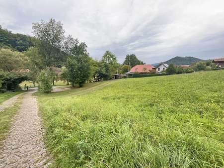 Grundstück - Grundstück in 63916 Amorbach mit 1104m² kaufen