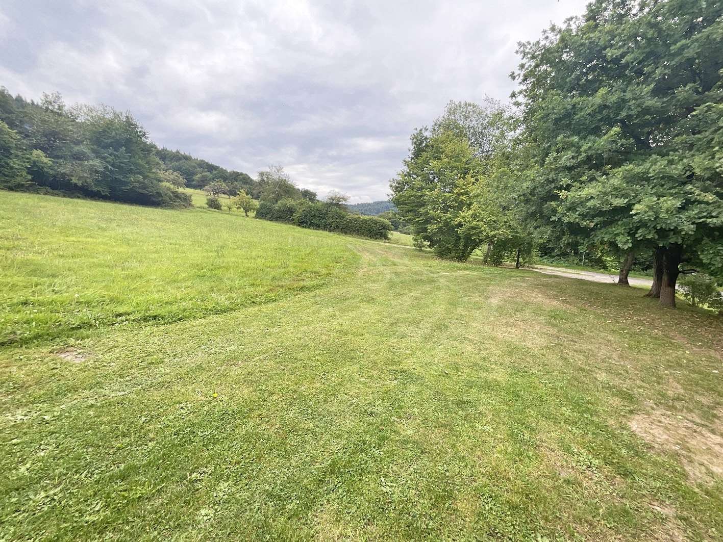 Grundstück - Grundstück in 63916 Amorbach mit 1104m² kaufen
