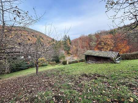 Riesiger Garten - Einfamilienhaus in 97896 Freudenberg mit 235m² kaufen