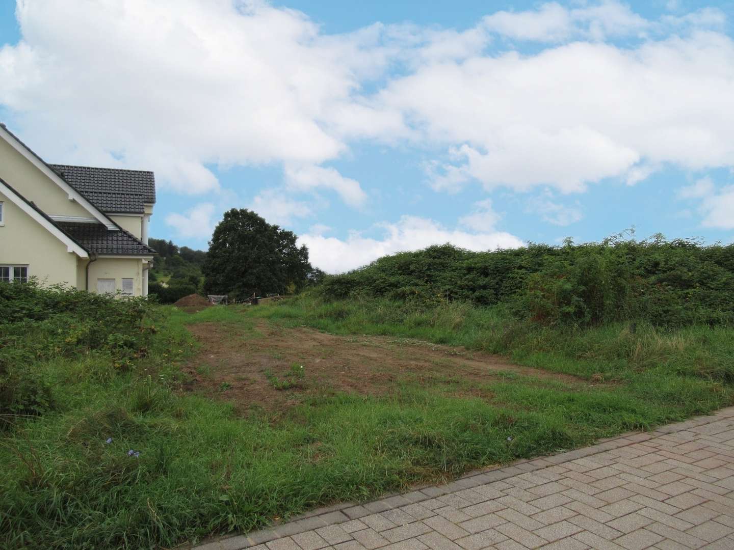 Blick auf das Grundstück - Grundstück in 63743 Aschaffenburg mit 348m² kaufen