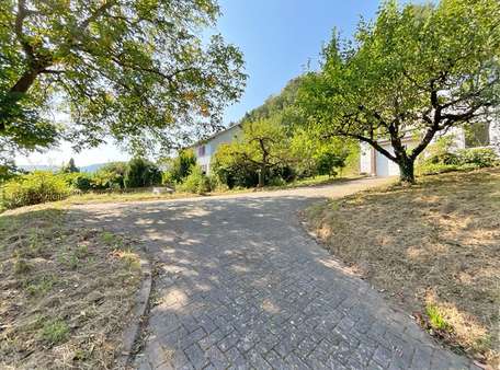 Außenansicht - Einfamilienhaus in 63925 Laudenbach mit 190m² kaufen