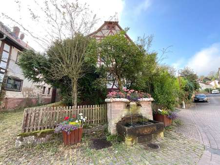 Straßenansicht mit Vorgarten - Einfamilienhaus in 63925 Laudenbach mit 97m² kaufen