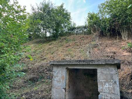 Hang im Hintergrund - Einfamilienhaus in 63776 Mömbris mit 90m² kaufen