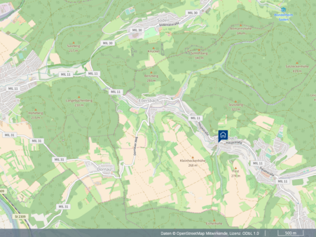 Bild aus Kartenansicht - Etagenwohnung in 63849 Leidersbach mit 112m² kaufen