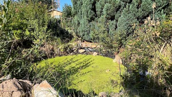 Garten mit kl. Teich Garten mit kl. Teich - Einfamilienhaus in 06667 Weißenfels mit 120m² kaufen