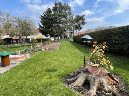 Blick in den Garten Blick in den Garten - Doppelhaushälfte in 06729 Elsteraue mit 112m² kaufen