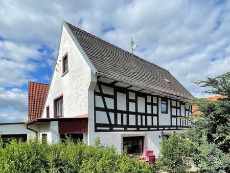 Ansicht Ansicht - Einfamilienhaus in 06729 Elsteraue mit 132m² kaufen