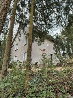 Rückansicht und Eingang Keller - Einfamilienhaus in 06849 Dessau-Roßlau mit 133m² kaufen