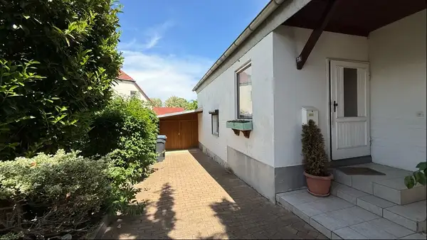 Meine kleine grüne Oase... 