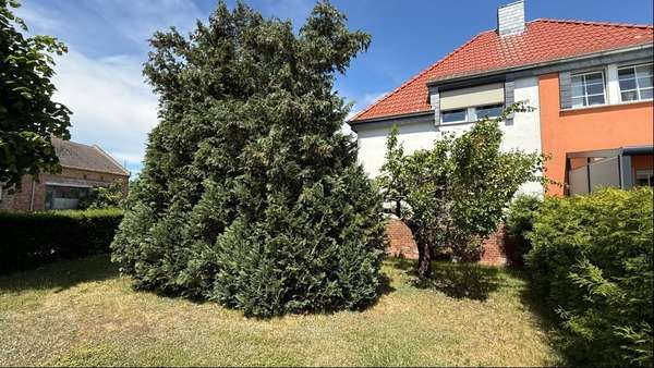 Foto-Vorderansicht Foto-Vorderansicht - Doppelhaushälfte in 06386 Osternienburger Land mit 84m² kaufen