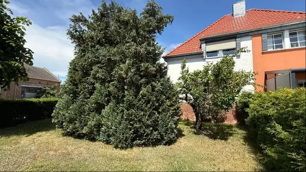 Meine kleine grüne Oase... 