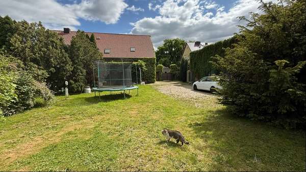 Foto-Rückansicht Foto-Rückansicht - Einfamilienhaus in 06388 Maasdorf mit 180m² kaufen