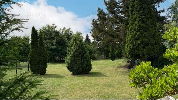 Foto-Garten Foto-Garten - Zweifamilienhaus in 06385 Aken mit 75m² kaufen